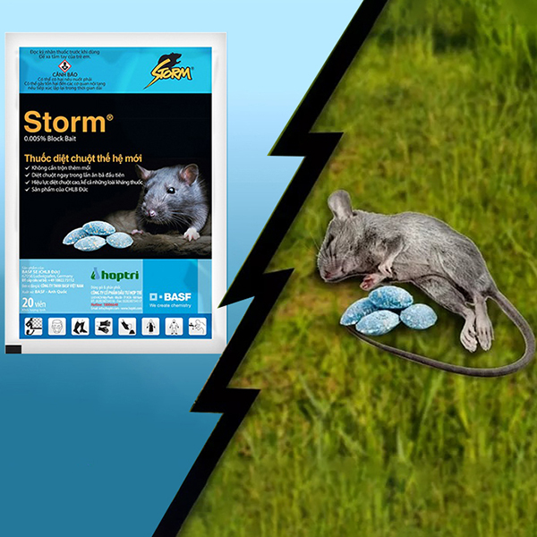 Thuốc diệt chuột STORM an toàn cho người và vật nuôi N324